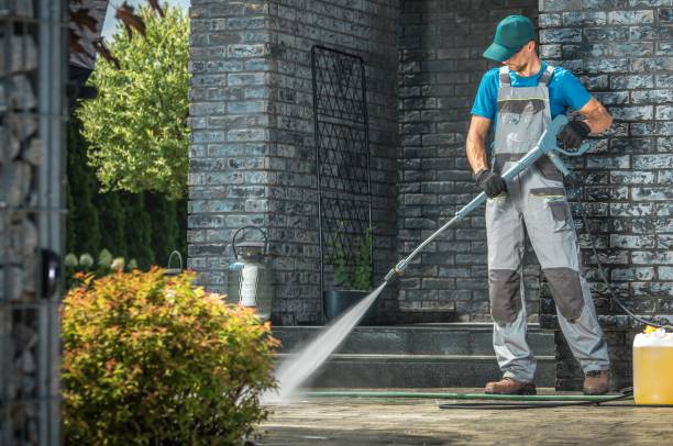 Pre-Holiday Cleaning in Kenmore, WA